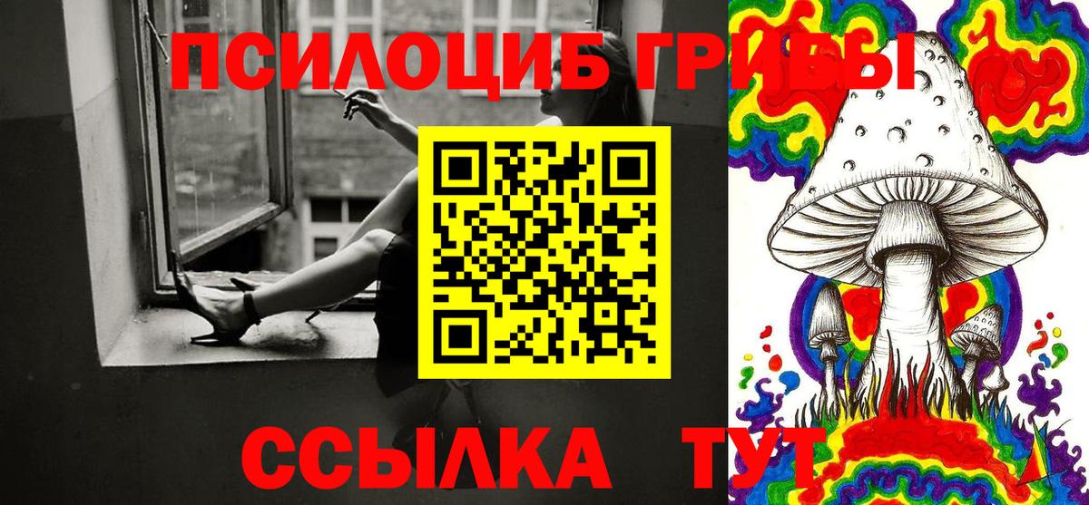Ухта  Псилоцибиновые грибы Cubensis  Галлюциногенные грибы MAGIC MUSHROOMS  Вход с VPN 